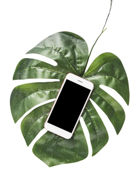 Sustainable & Ethical